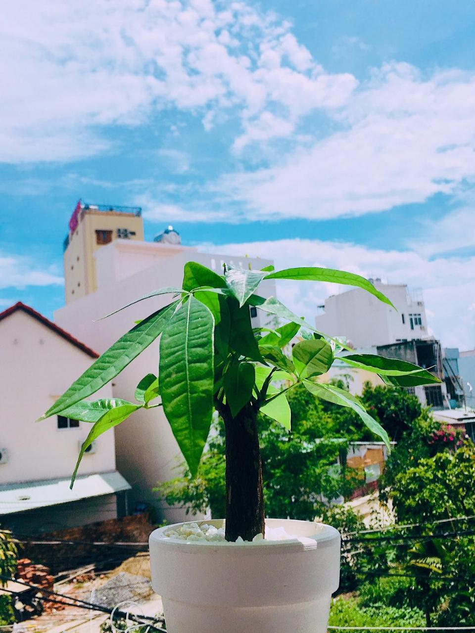 Huha Home - Đà Nẵng Extérieur photo